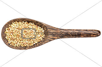 gluten free buckwheat pseudograin