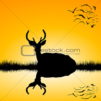 Landscape with deer stag silhouette at sunset