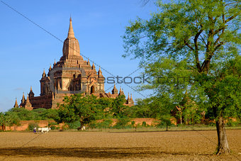 Landscape view of Sulamani temple with field and farmer, Myanmar