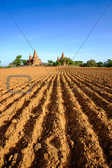 Landscape view of field and temples in Bagan area, Myanmar