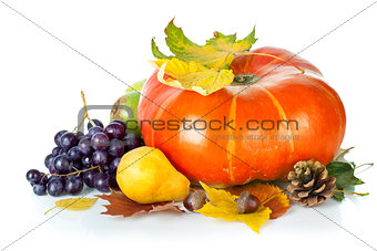 Autumnal still life with pumpkin and grapes