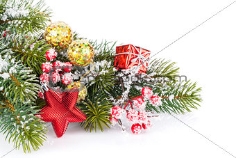 Christmas fir tree branch with holly berry and decor