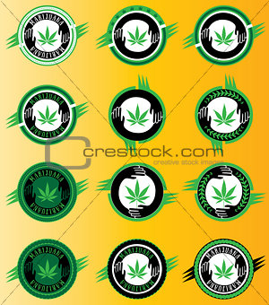 marijuana cannabis green leaf icon vector illustration