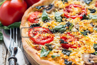 Pizza with cheese and basil close-up.