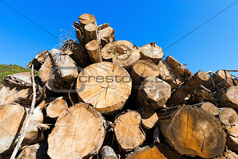 Wooden Logs on Blue Sky