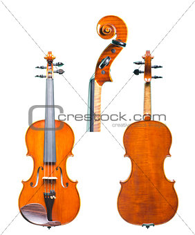 a violin