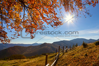 Autumn Landscape in Mountains Valley