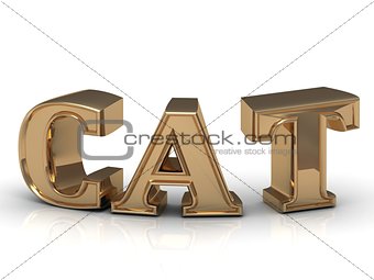 Cat - inscription of bright gold letters