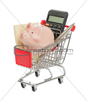 Piggy bank and envelope in shopping cart