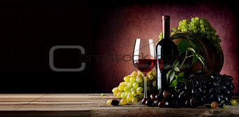 Vine of grape with wine