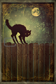 Black cat on fence with vintage look