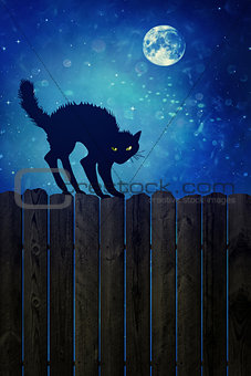 Black cat on wood fence at  night