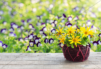 flower vase on wood table and space garden background