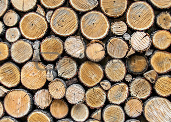 Background from dry wood logs stacked on each other