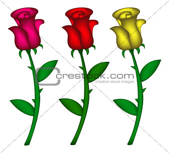 Set of realistic roses. Vector illustration isolated on white background. Created with mesh tool.