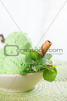 Mint ice cream in bowl