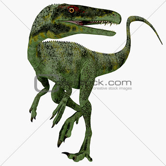 Juravenator Jurassic Dinosaur