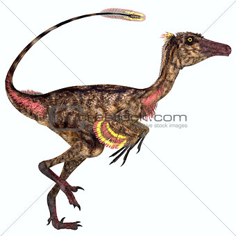 Troodon Dinosaur Profile