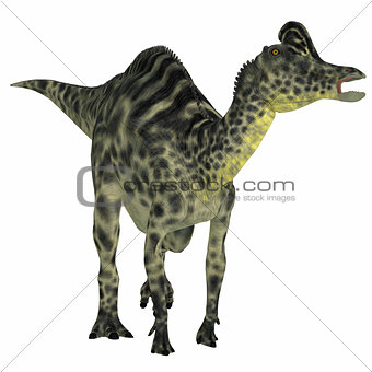Velafrons Hadrosaur Dinosaur