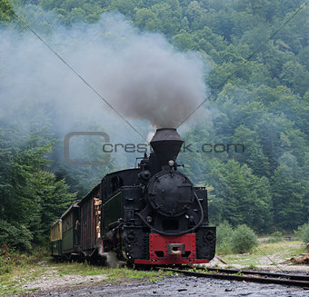 Mocanita wood-burning locomotive