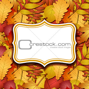 Frame labels on background with autumn leaves.