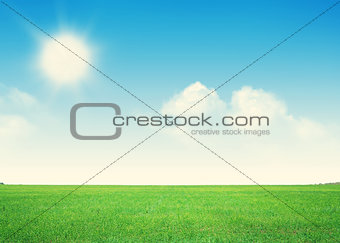 Endless green grass field and blue sky with clouds