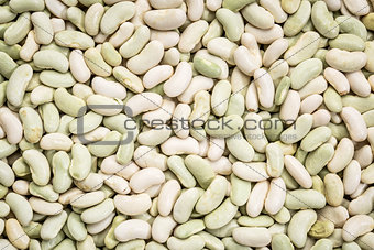 flageolet bean background