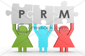 PRM - Partner Relationship Management puzzle in a line