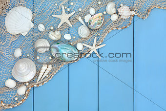 Seashell Collage 