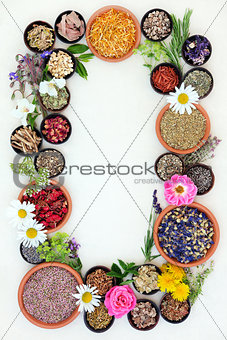 Medicinal Healing Herbs and Flowers