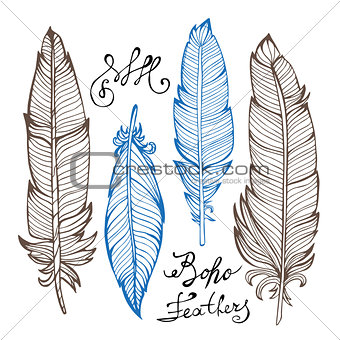 Hand drawn bird feathers closeup isolated on white