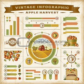 Vintage apple harvest infographic set