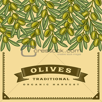 Retro olive harvest card
