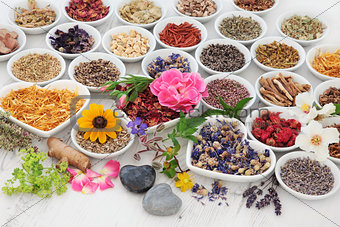 Therapeutic Herbs and Flowers