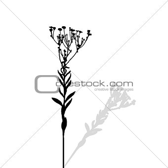 Silhouette of Plants. Vector Ilustration.