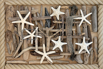 Starfish and Driftwood 