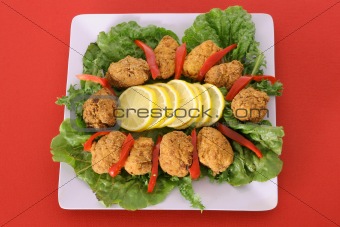 shot of Fried appetizer platter