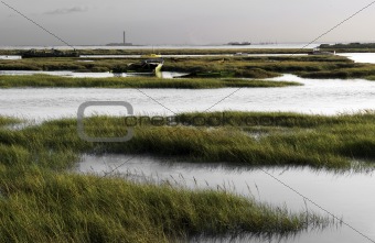 Essex marshes