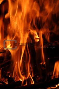 shot of burning flames vertical