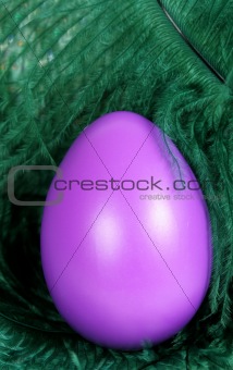 Easter egg and feathers