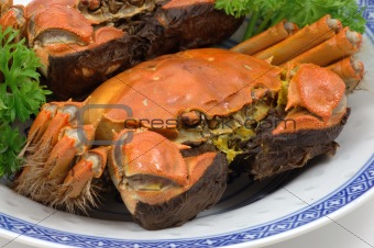 Steamed shanghai crabs