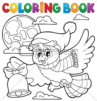 Coloring book Christmas owl theme 1