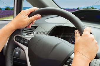 hands with steering wheel