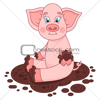 Cute pig in a puddle, funny piggy sits