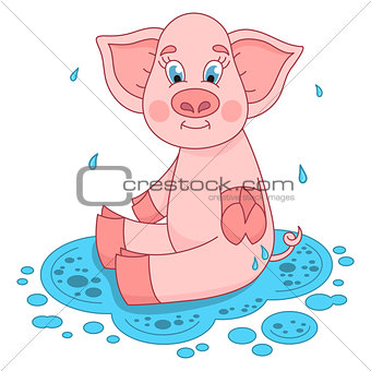 Cute pig in a puddle sits and smile on water puddle