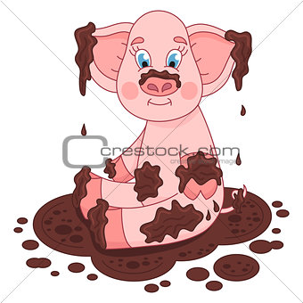 Cute pig in a puddle, funny piggy sits, laps and smile