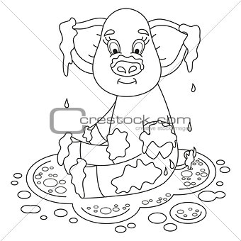 Cute pig in a puddle sits on dirt puddle, coloring book