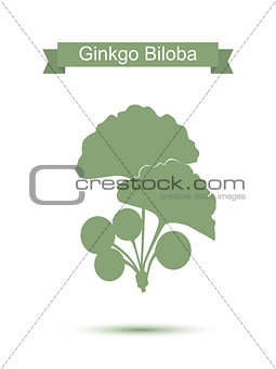 Ginkgo biloba stylizes leaves.  Silhouette of ginkgo twig
