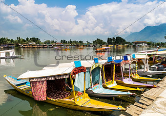 Shikara Boats on Dal Lake, Srinagar, Kashmir, India