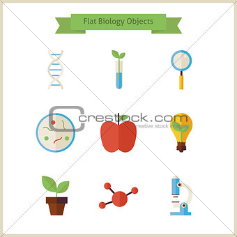 Flat School Biology and Science Objects Set